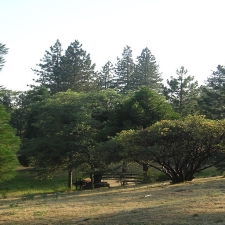 fareta_2008_13_jpg