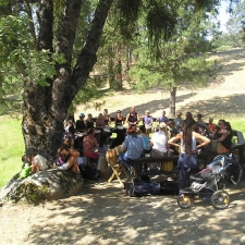 fareta_2008_3_jpg