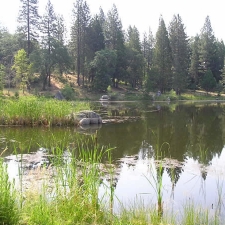 fareta_2008_43_jpg