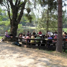 fareta_2008_44_jpg